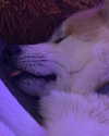 aryssa614 Altpins Profile Picture