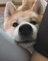 aryssa614 Altpins Profile Picture