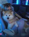 aryssa614 Altpins Profile Picture