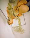 asuna__nineko Altpins Profile Picture