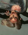 asuna__nineko Altpins Profile Picture