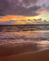 avaabreu Altpins Profile Picture