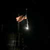 avaariggio Altpins Profile Picture
