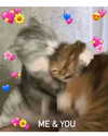 avabamby Altpins Profile Picture