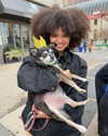 avasophiabrown Altpins Profile Picture