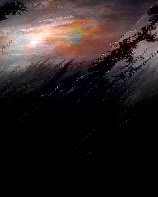 ayguldavlletova image ~ Altpins