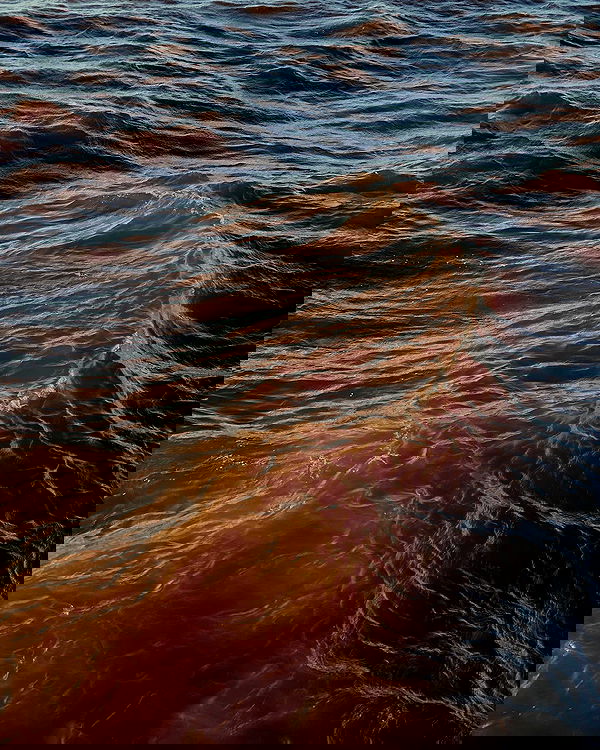 ayguldavlletova image ~ Altpins