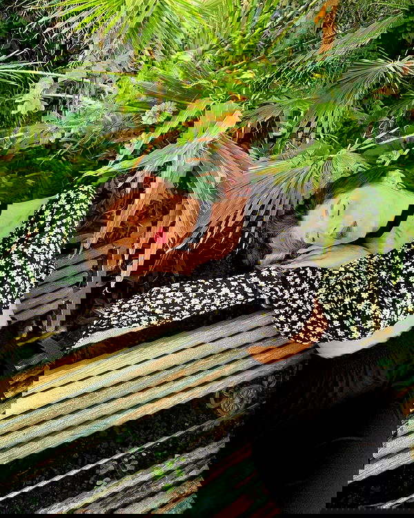 ayguldavlletova image ~ Altpins