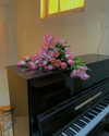 ayguldavlletova Altpins Profile Picture