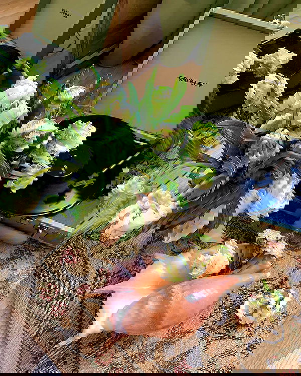 ayguldavlletova image ~ Altpins