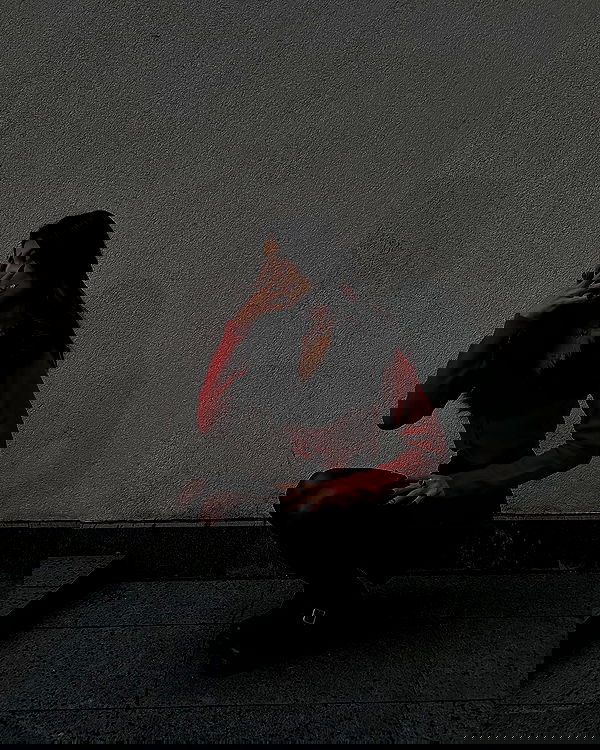 ayguldavlletova image ~ Altpins