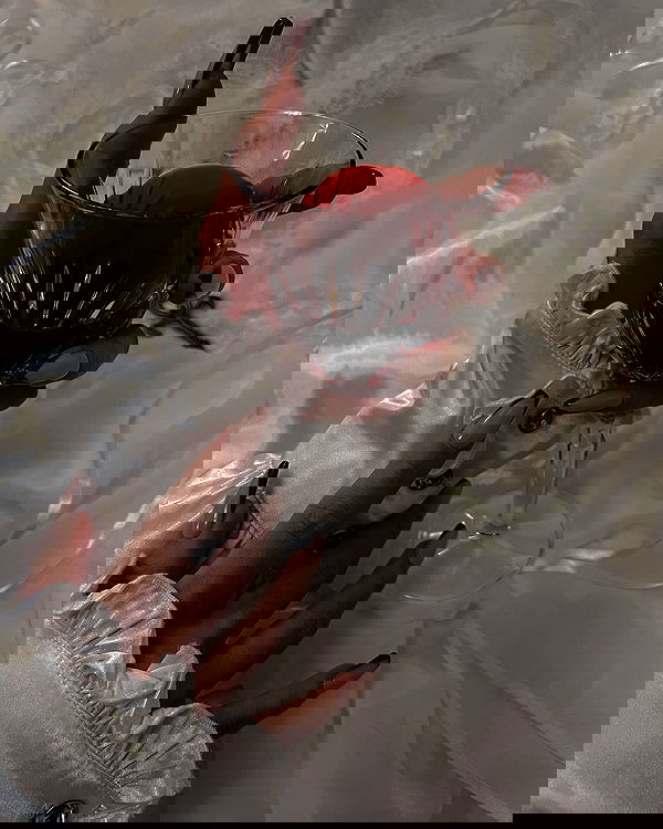 ayguldavlletova image ~ Altpins