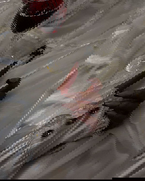 ayguldavlletova image ~ Altpins