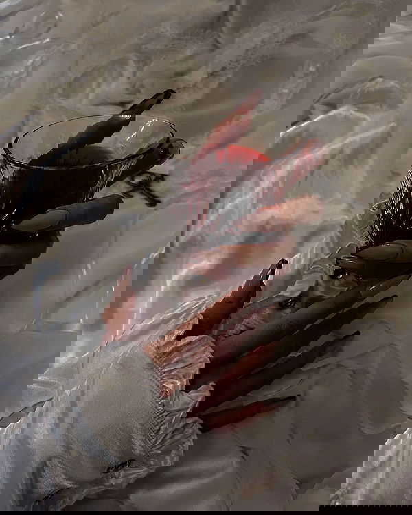 ayguldavlletova image ~ Altpins