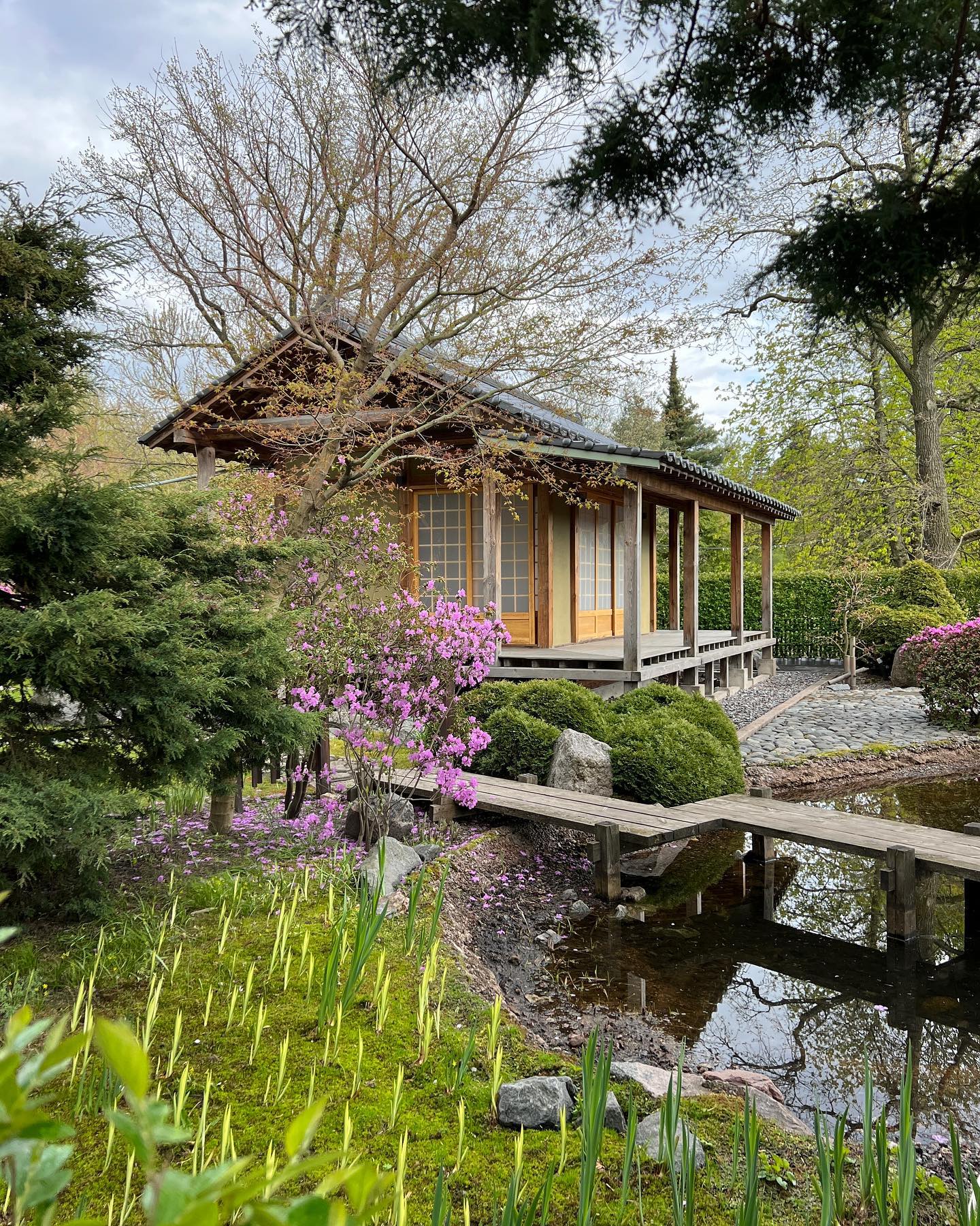 ayguldavlletova instagram image archive image