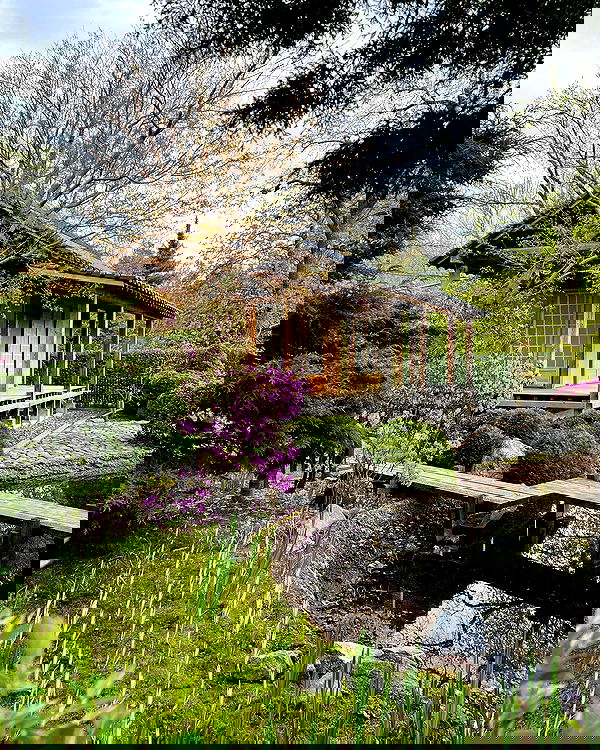 ayguldavlletova image ~ Altpins