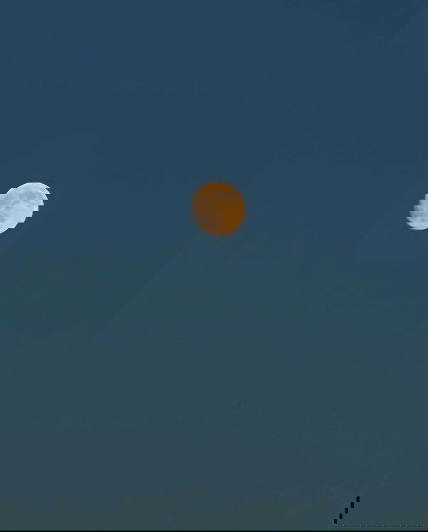 ayguldavlletova image ~ Altpins