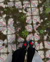 ayguldavlletova Altpins Profile Picture