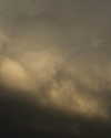 ayguldavlletova Altpins Profile Picture