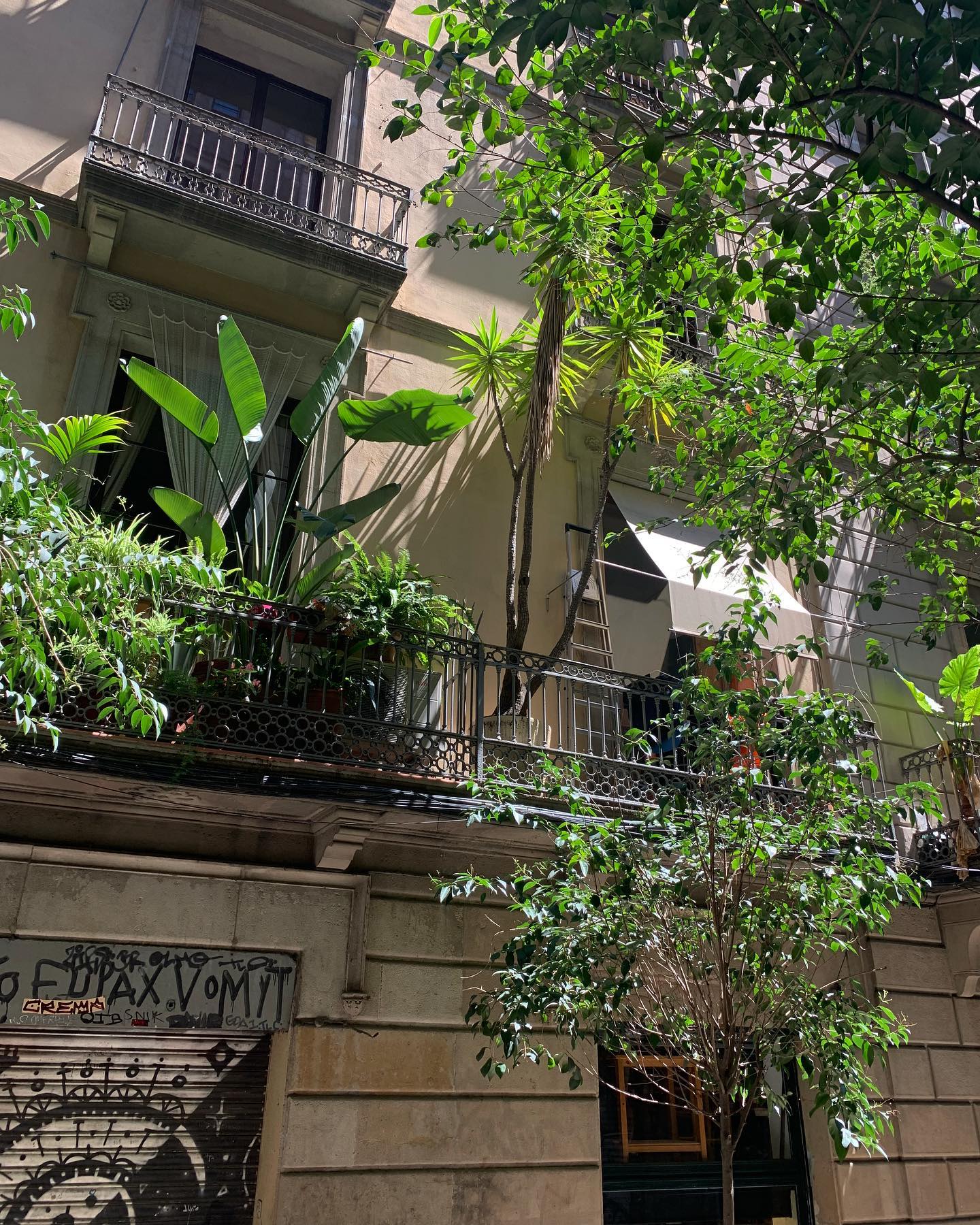 ayguldavlletova instagram image archive image