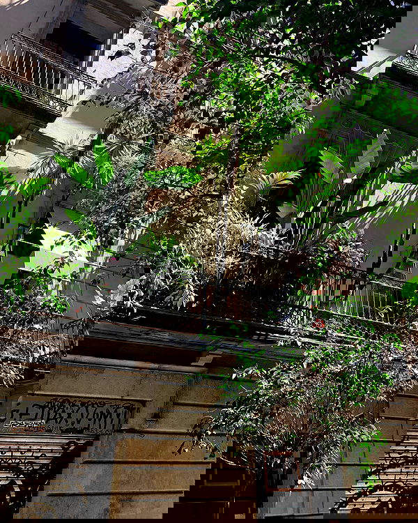 ayguldavlletova image ~ Altpins