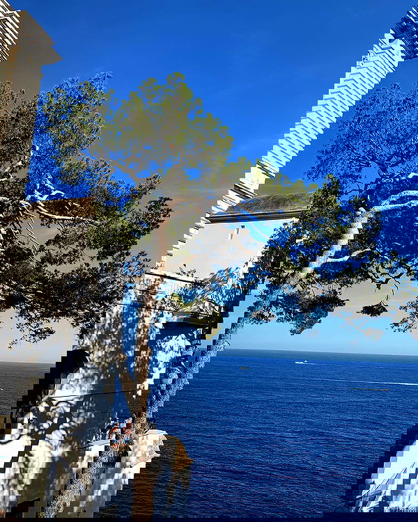 ayguldavlletova image ~ Altpins