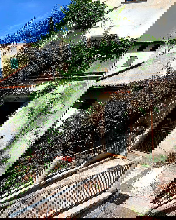 ayguldavlletova image ~ Altpins