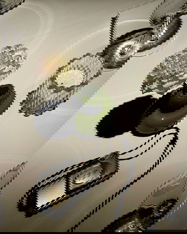 ayguldavlletova image ~ Altpins