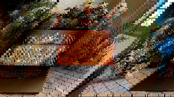 ayguldavlletova image ~ Altpins