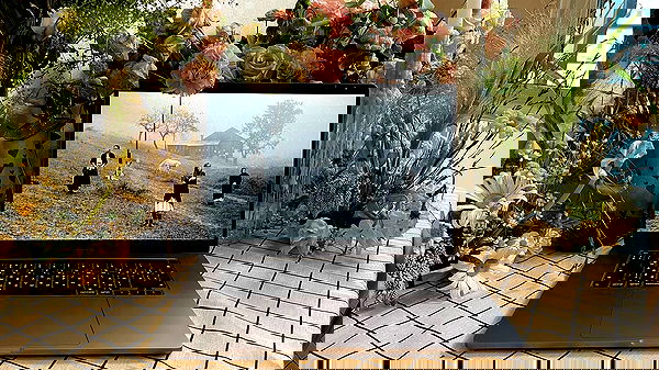 ayguldavlletova image ~ Altpins