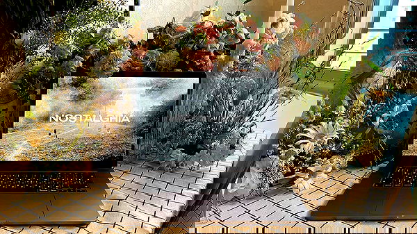 ayguldavlletova image ~ Altpins