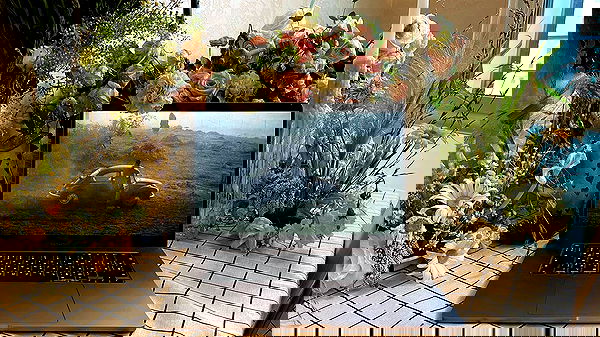 ayguldavlletova image ~ Altpins