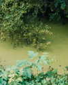 ayguldavlletova Altpins Profile Picture