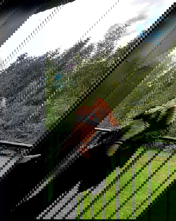 ayguldavlletova image ~ Altpins