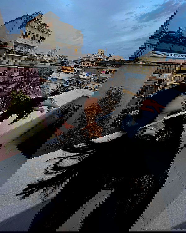 ayguldavlletova image ~ Altpins