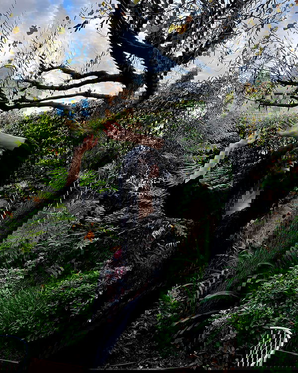 ayguldavlletova image ~ Altpins