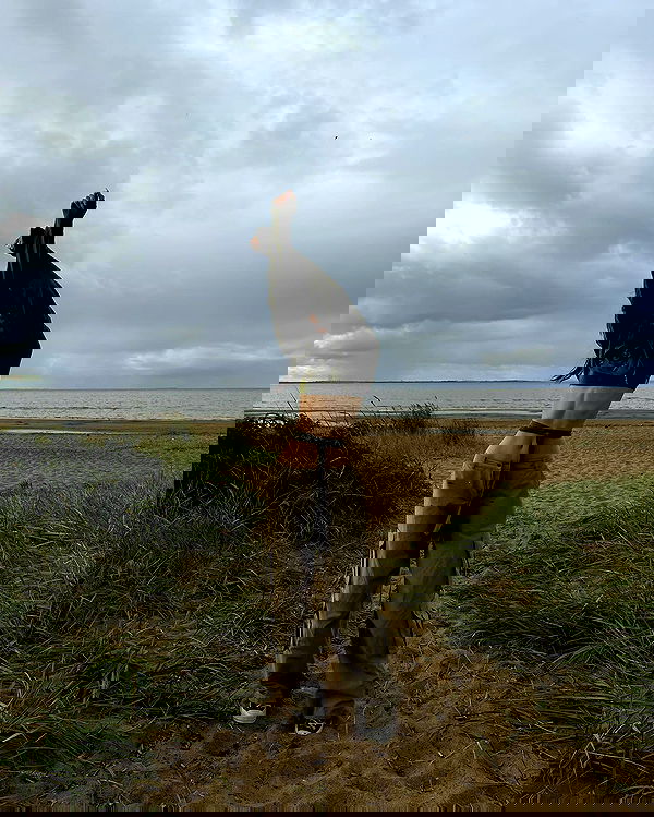 ayguldavlletova image ~ Altpins