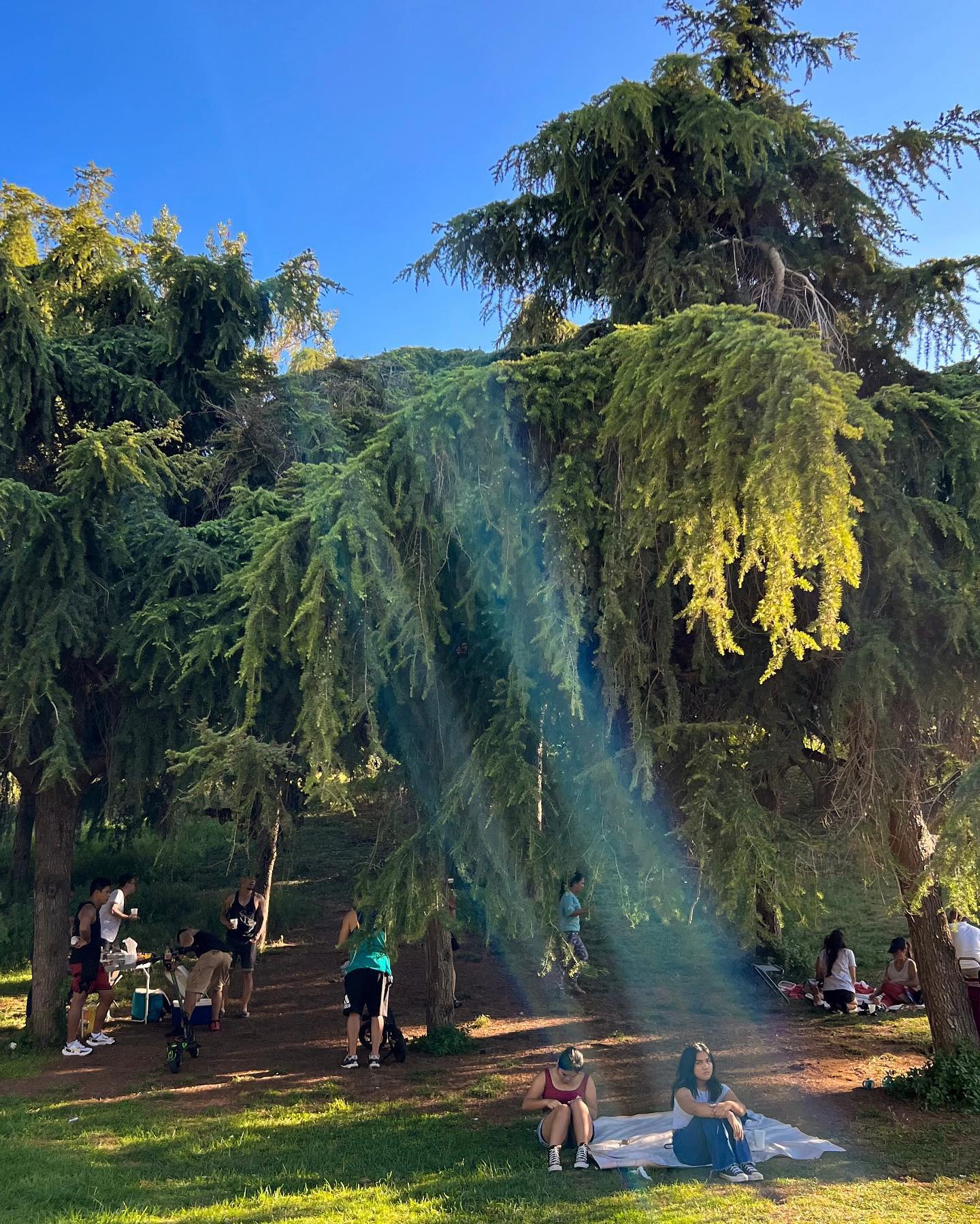 ayguldavlletova instagram image archive image