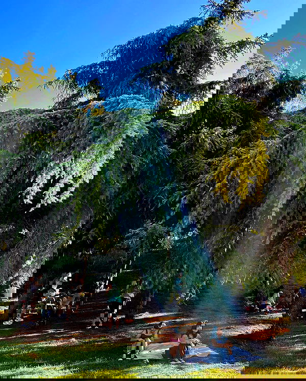 ayguldavlletova image ~ Altpins