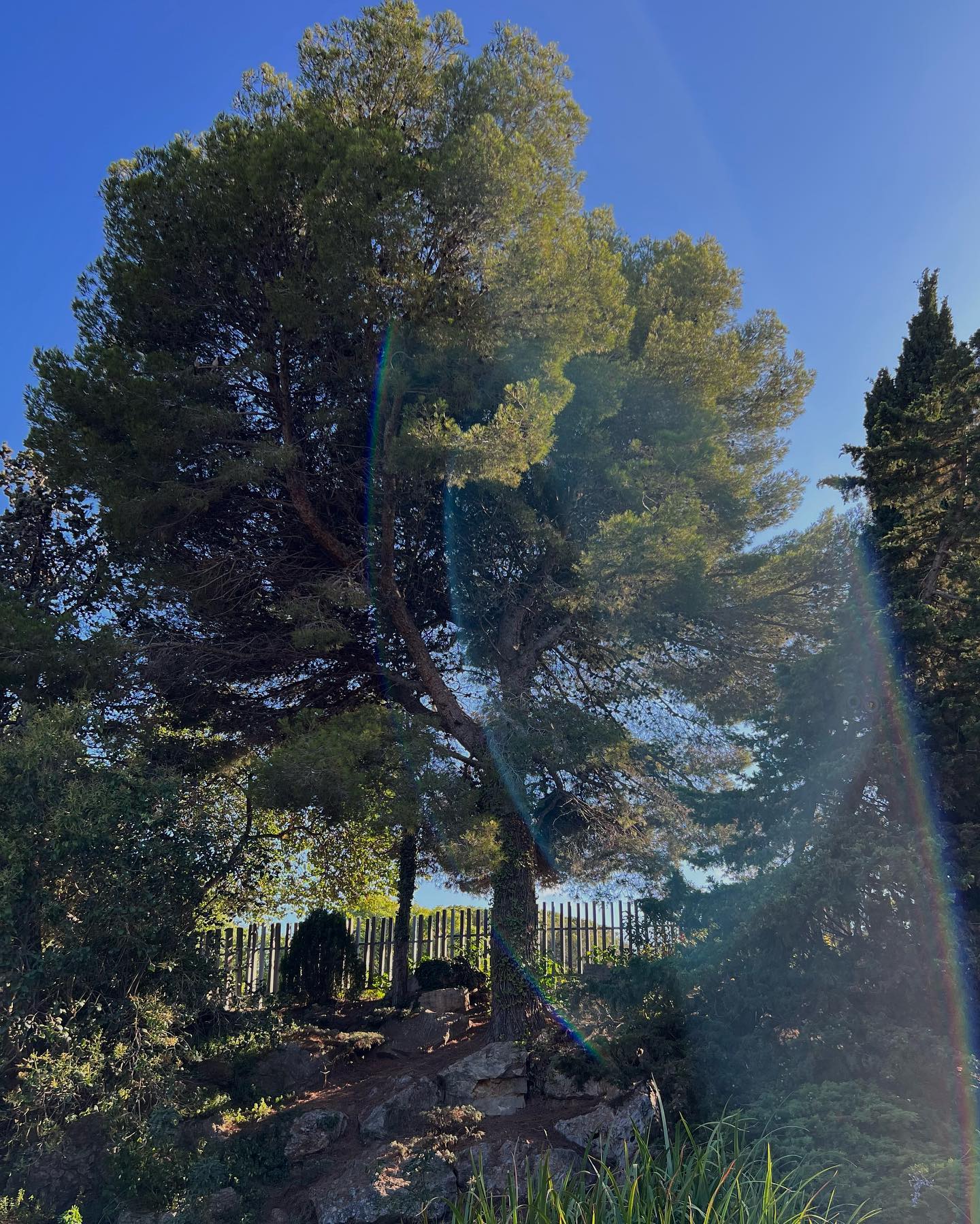 ayguldavlletova instagram image archive image