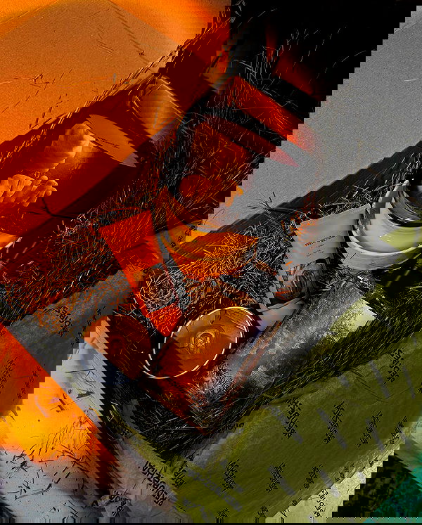 ayguldavlletova image ~ Altpins