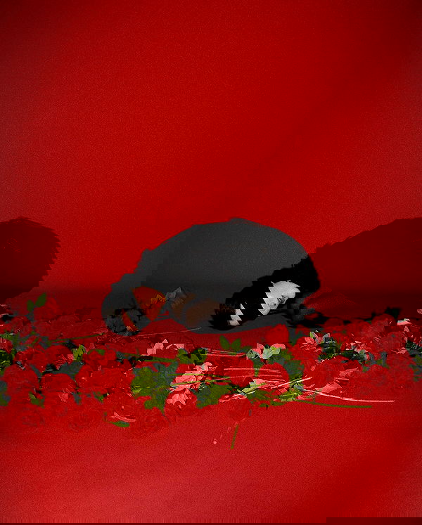 ayguldavlletova image ~ Altpins