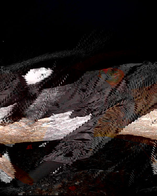 ayguldavlletova image ~ Altpins