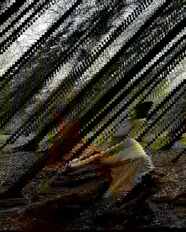 ayguldavlletova image ~ Altpins