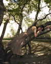 ayguldavlletova Altpins Profile Picture