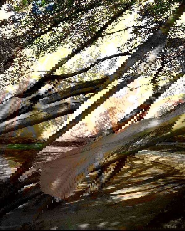 ayguldavlletova image ~ Altpins