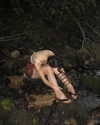 ayguldavlletova Altpins Profile Picture