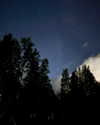 ayguldavlletova Altpins Profile Picture