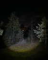 ayguldavlletova Altpins Profile Picture