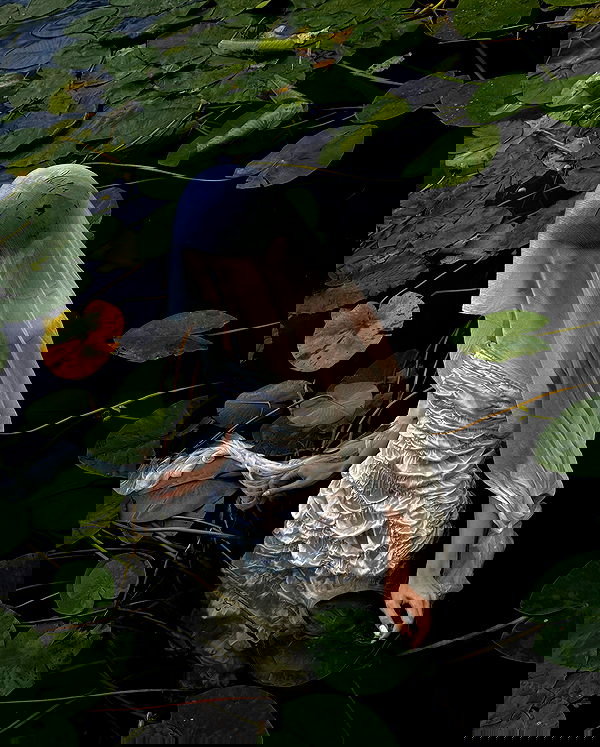 ayguldavlletova image ~ Altpins